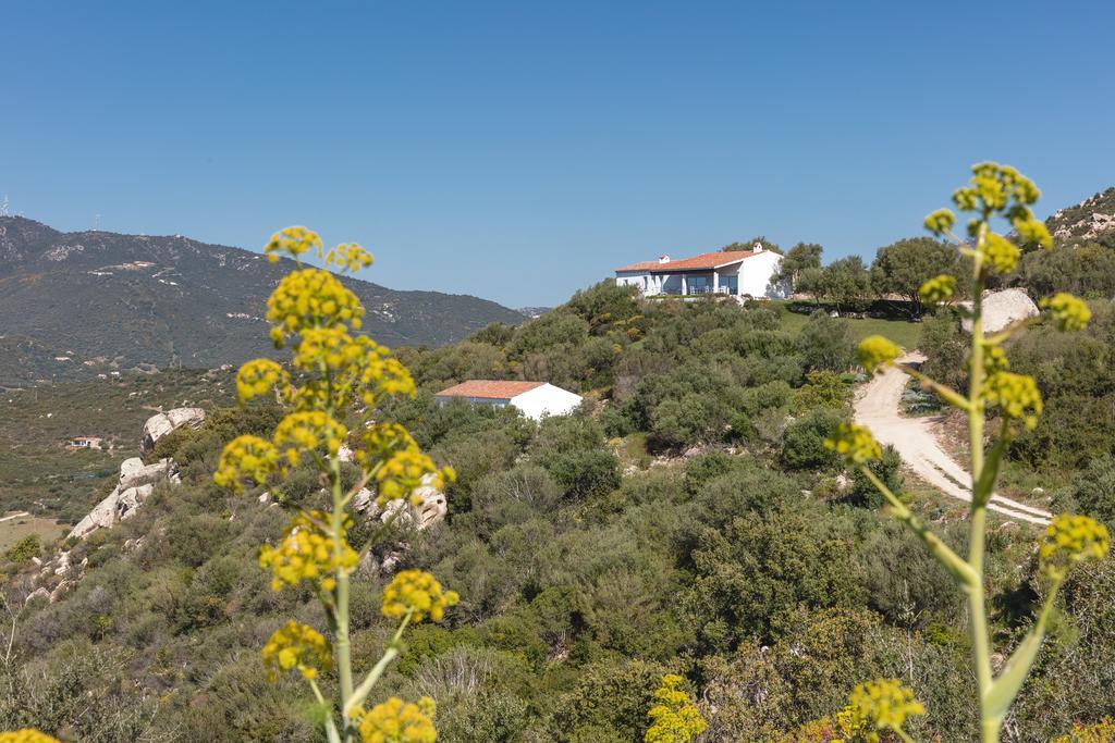 Agriturismo Cabu Abbas Villa Olbia Eksteriør billede